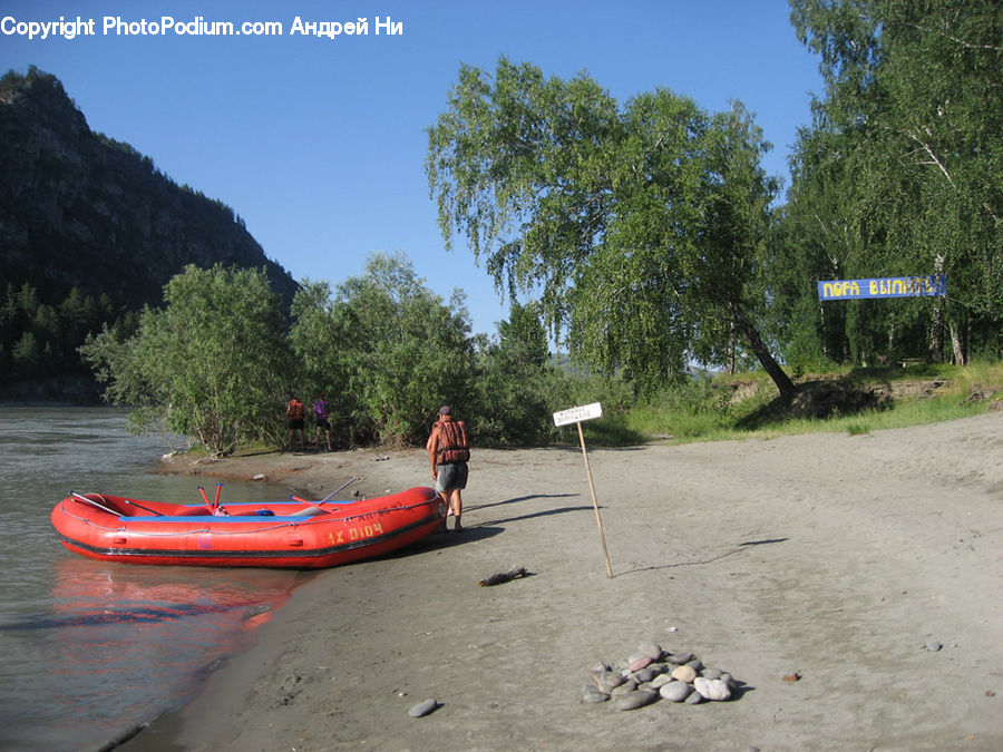 Boat, Canoe, Rowboat, Watercraft, Conifer, Fir, Plant