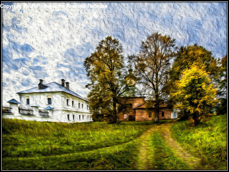Building, Cottage, Housing, Plant, Tree, Conifer, Fir