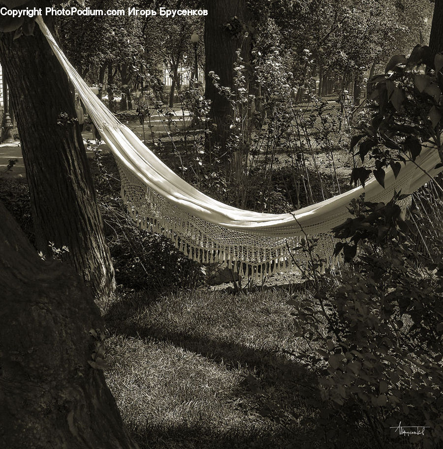 Furniture, Hammock