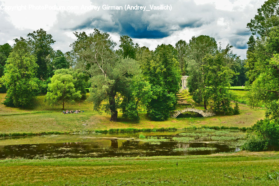 Plant, Tree, Field, Grass, Grassland, Land, Outdoors