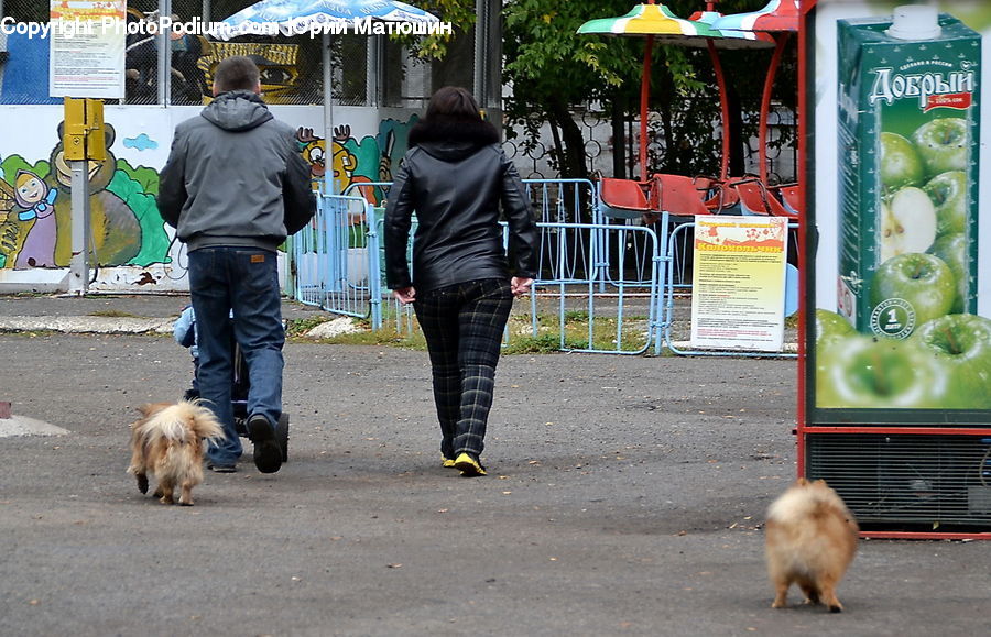 Human, People, Person, Plant, Potted Plant, Leisure Activities, Walking