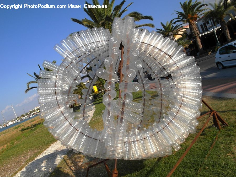 Plant, Potted Plant, Glass, Palm Tree, Tree, Accessories, Bead