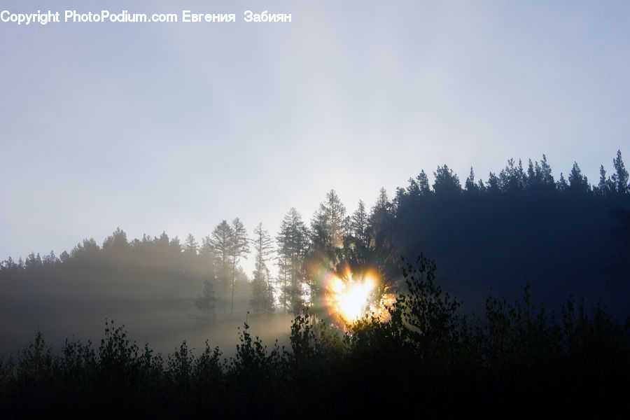Fog, Flare, Light, Sunlight, Dawn, Dusk, Sky