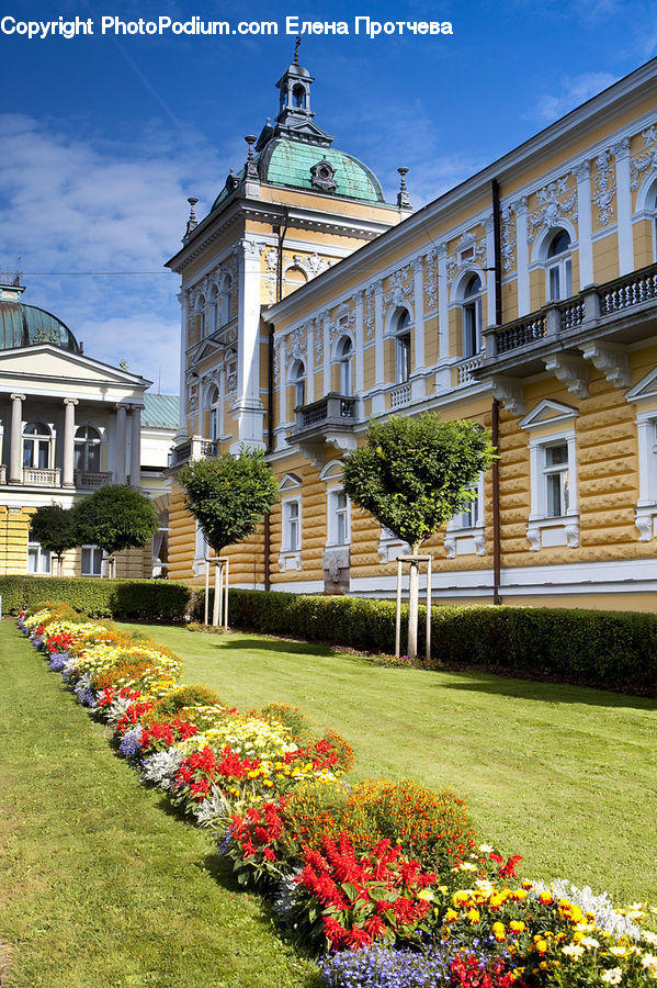 Architecture, Castle, Mansion, Palace, Plant, Potted Plant, Blossom