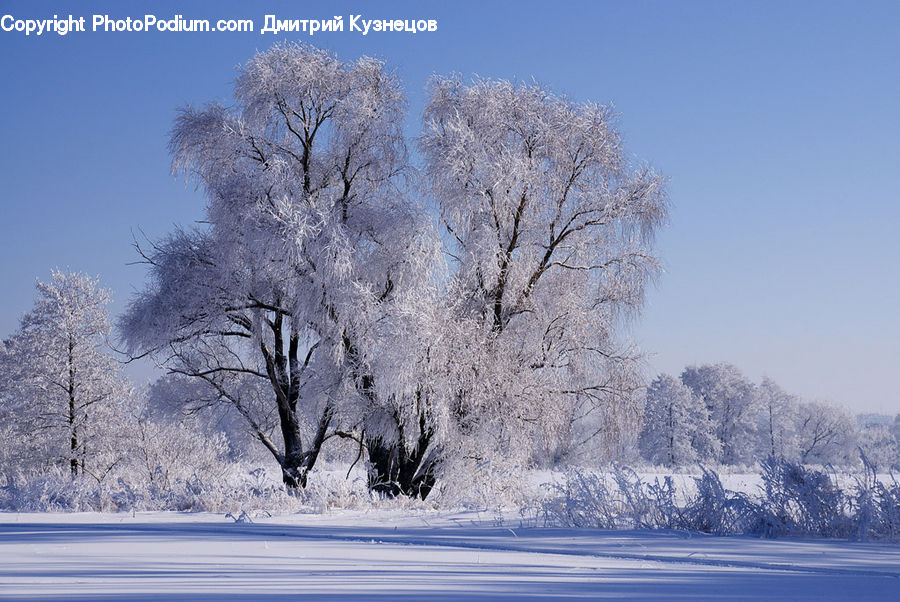 Frost, Ice, Outdoors, Snow, Landscape, Nature, Scenery