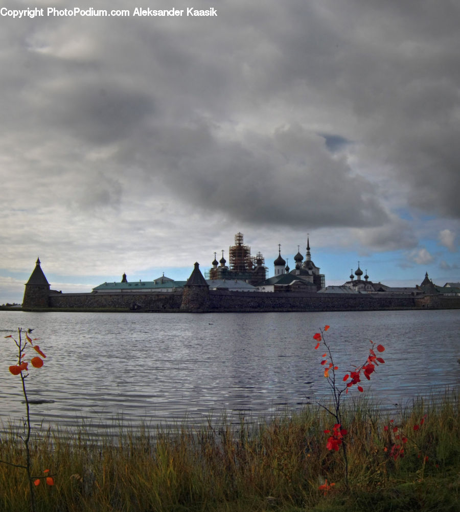 Architecture, Castle, Fort, Plant, Vegetation, Cathedral, Church