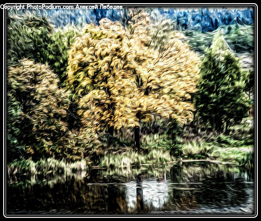 Field, Grass, Grassland, Plant, Conifer, Fir, Tree