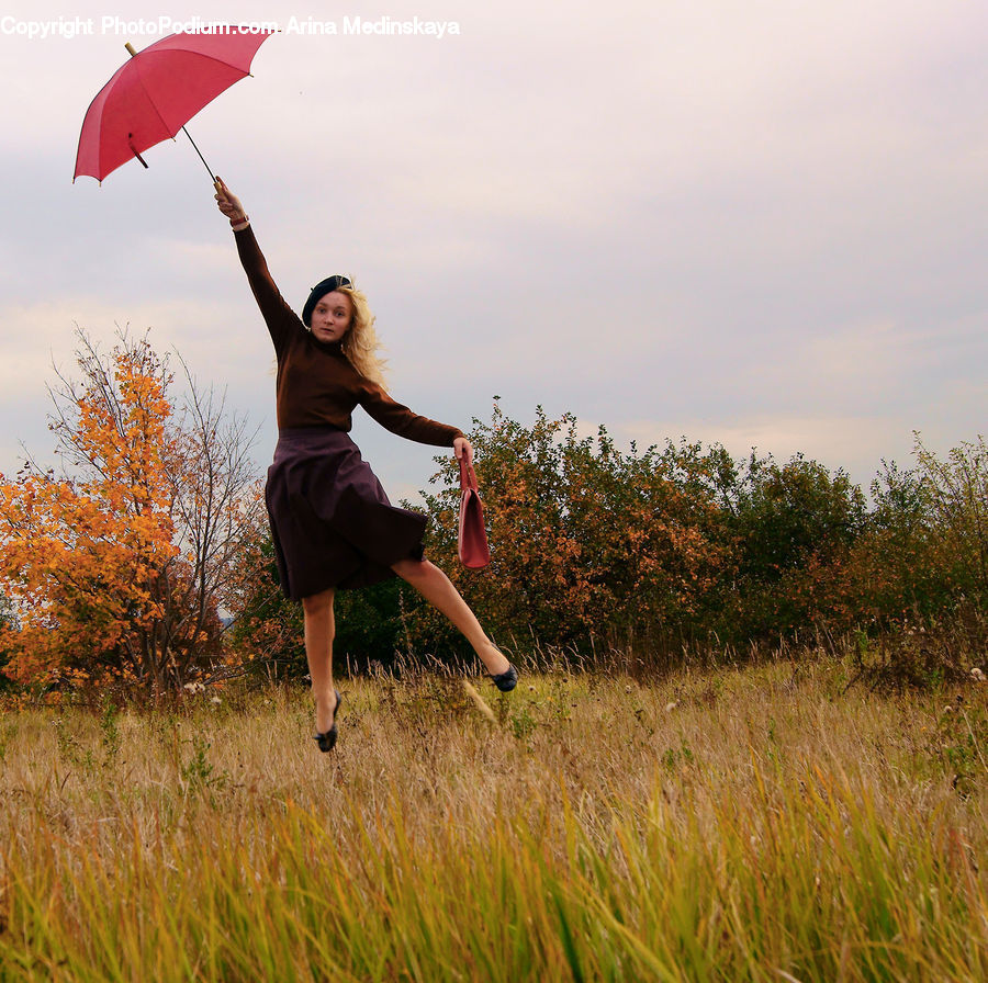 People, Person, Human, Umbrella, Field, Grass, Grassland