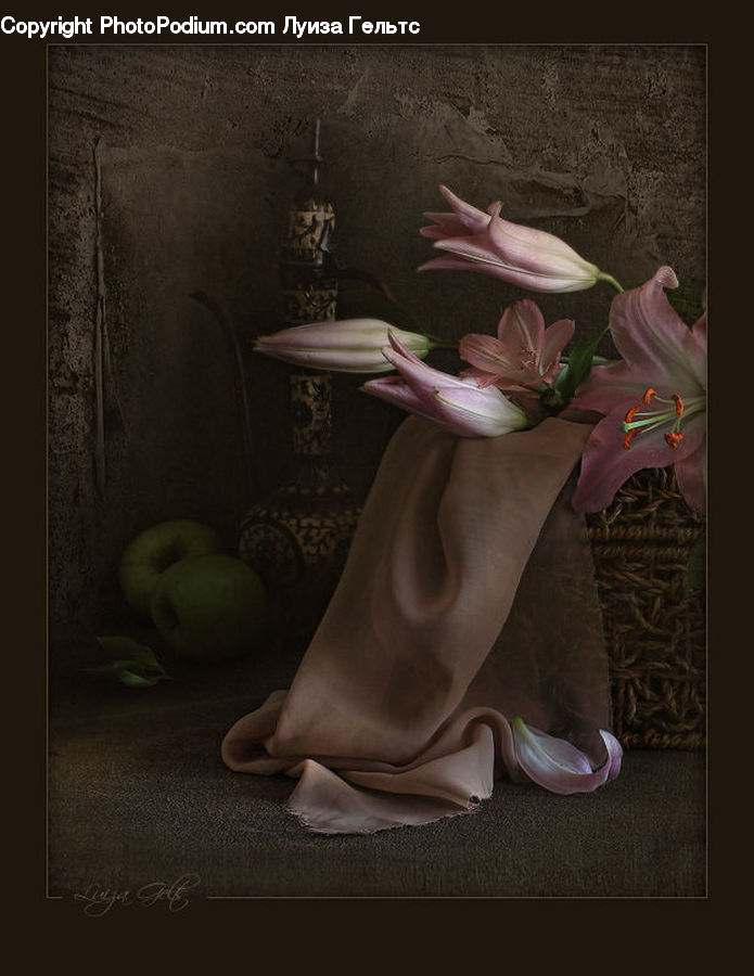People, Person, Human, Amaryllis, Flower, Plant, Footwear