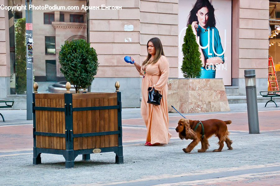 Plant, Potted Plant, People, Person, Human, Animal, Canine