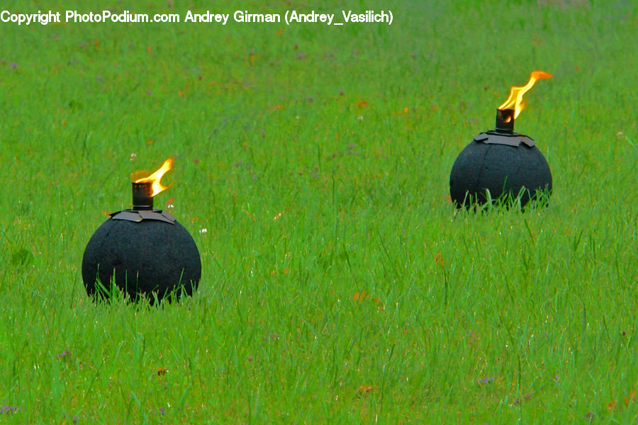 Bunker, Field, Grass, Grassland, Plant, Architecture, Dome