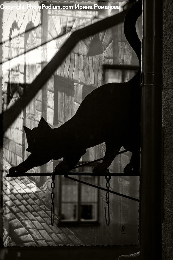 Silhouette