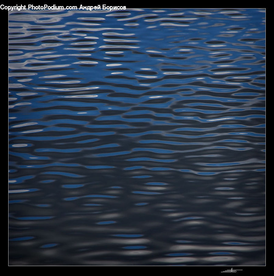 Fish, Herring, Sardine, Sea Life, Outdoors, Ripple, Water
