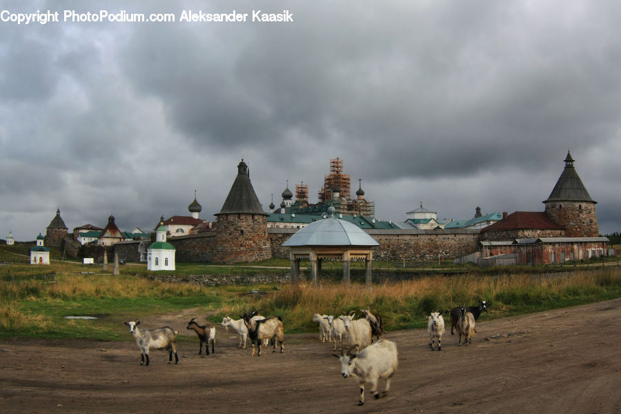 Architecture, Dome, Church, Worship, Gazebo, Housing, Monastery