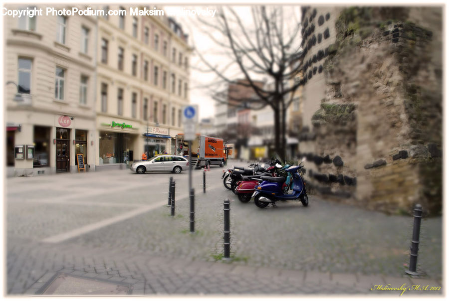 Motor, Motorcycle, Vehicle, Plant, Potted Plant, Motor Scooter, Vespa