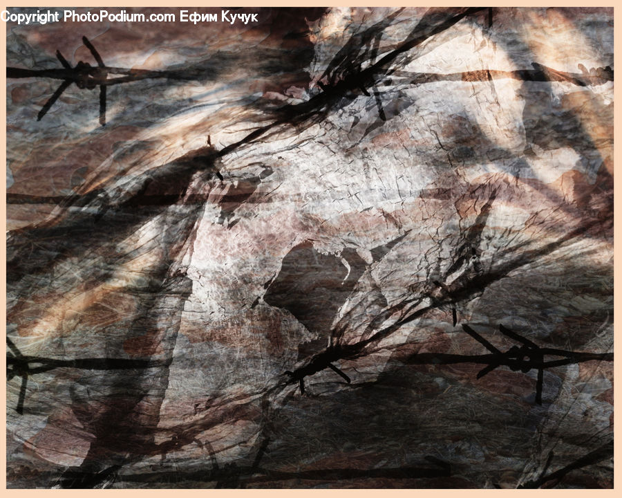 Art, Modern Art, Arachnid, Garden Spider, Insect, Invertebrate, Spider