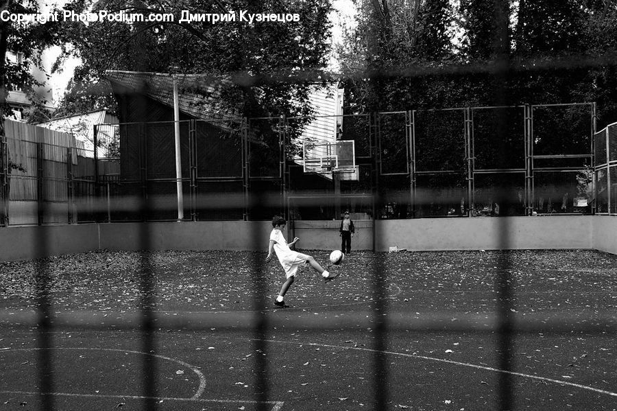 People, Person, Human, Baseball, Softball, Sport, Football