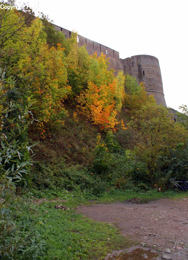 Castle, Fort, Dirt Road, Gravel, Road, Plant, Vegetation
