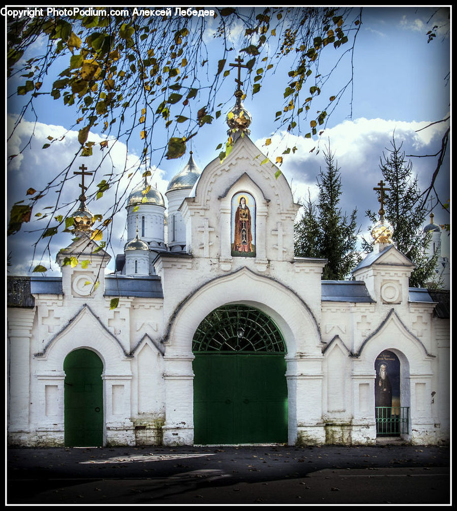 Plant, Potted Plant, Tomb, Arch, Architecture, Church, Worship
