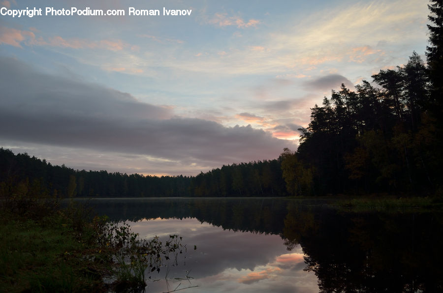Outdoors, River, Water, Plant, Vegetation, Dawn, Dusk