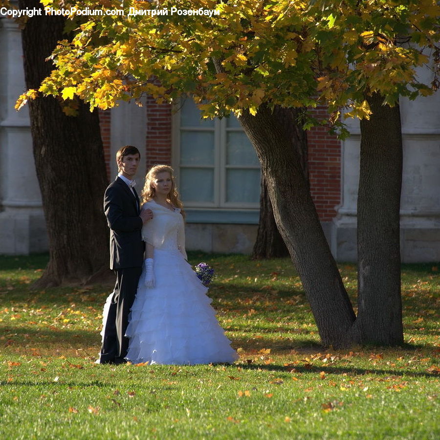 People, Person, Human, Bride, Gown, Wedding, Plant