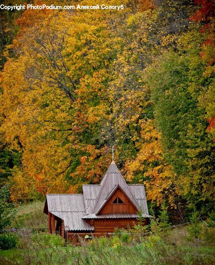 Building, Cottage, Housing, Roof, Architecture, Church, Worship