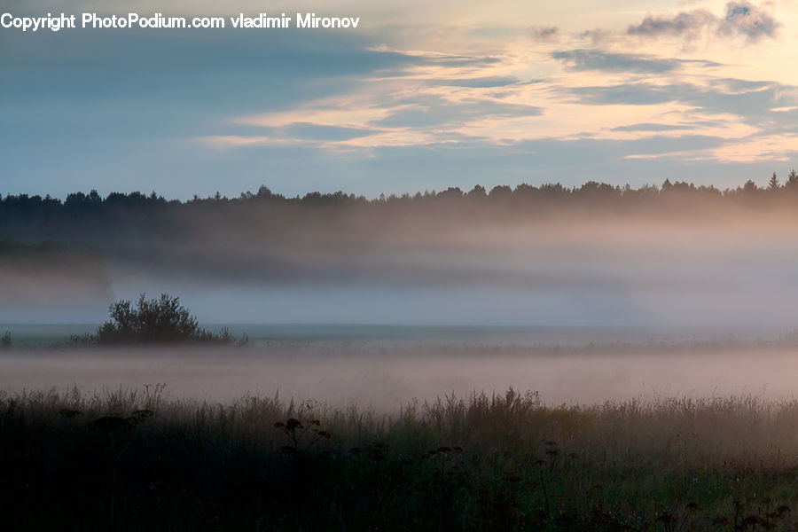 Fog, Dawn, Dusk, Sky, Sunrise, Sunset, Mist