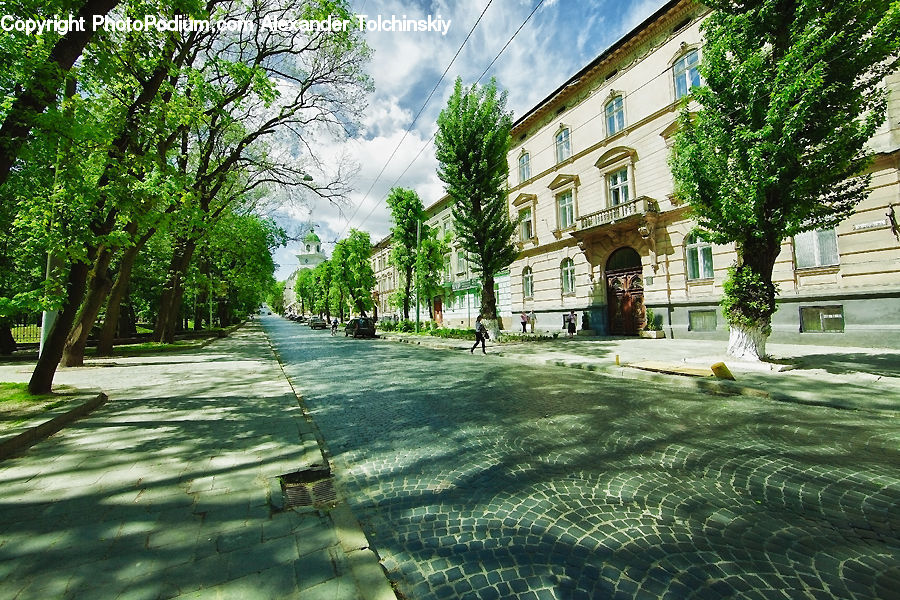 Building, Housing, Villa, Downtown, Neighborhood, Town, Plant