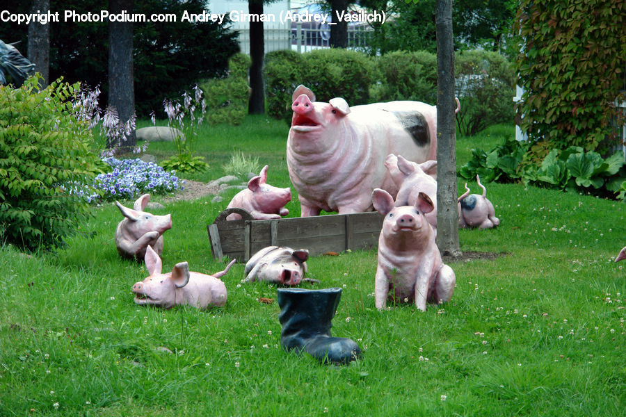 Animal, Boxer, Bulldog, Canine, Dog, Mammal, Pet