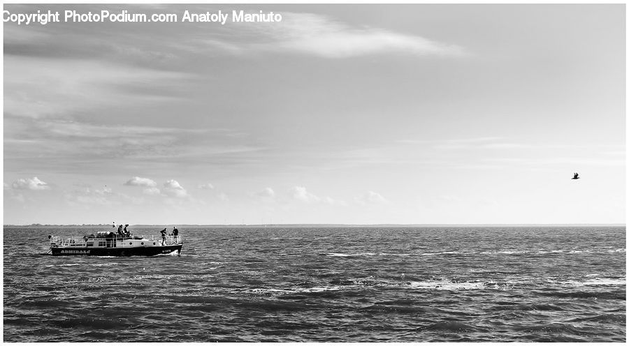 Cruise Ship, Ferry, Freighter, Ship, Tanker, Vessel, Outdoors