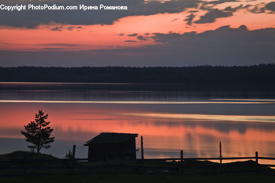 Dawn, Dusk, Red Sky, Sky, Sunrise, Sunset, Plant
