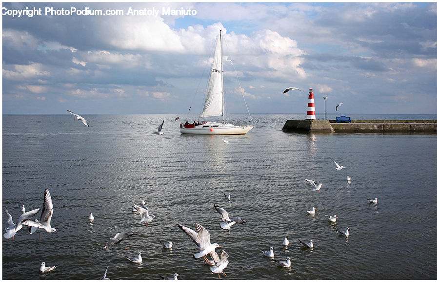 Boat, Yacht, Beacon, Building, Lighthouse, Dinghy, Sailboat
