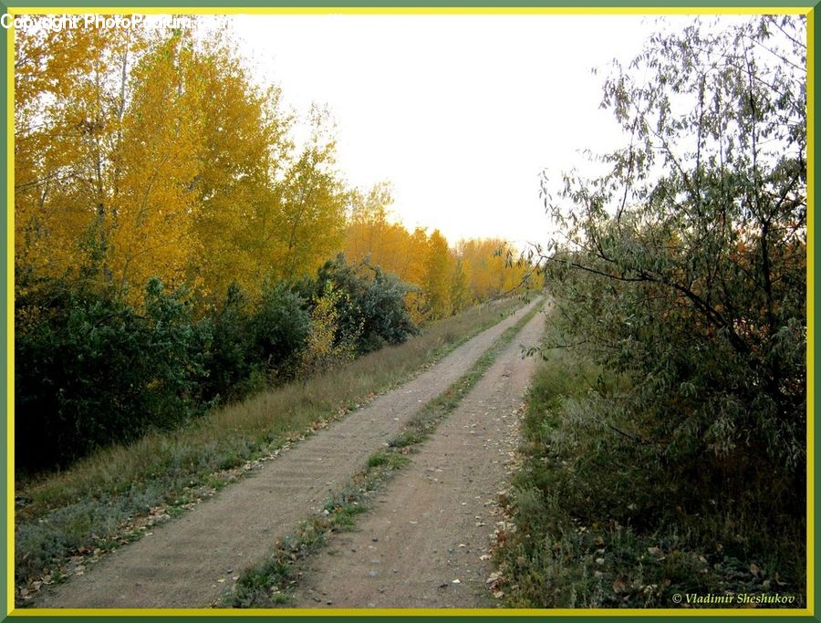 Dirt Road, Gravel, Road, Landscape, Nature, Scenery