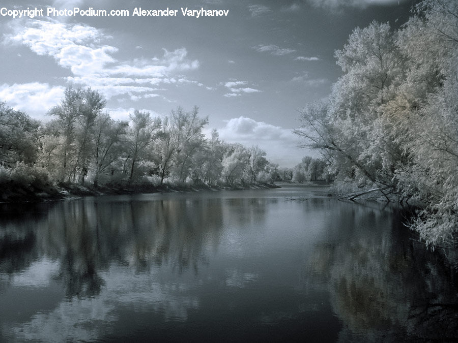 Plant, Tree, Canal, Outdoors, River, Water, Blossom