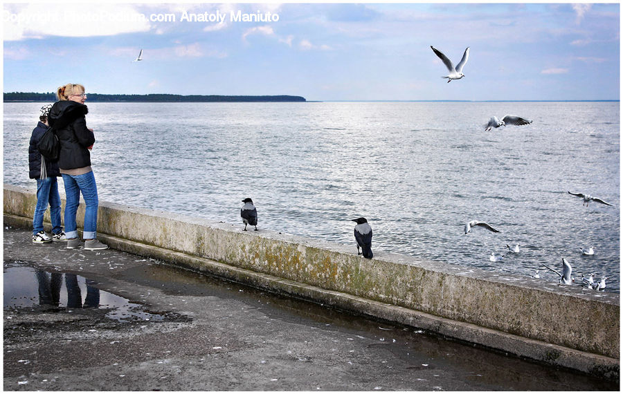 People, Person, Human, Coast, Outdoors, Sea, Water