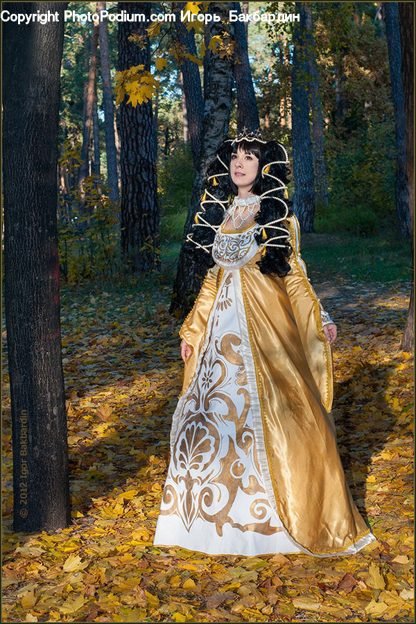 People, Person, Human, Lace, Cloak, Evening Dress, Gown