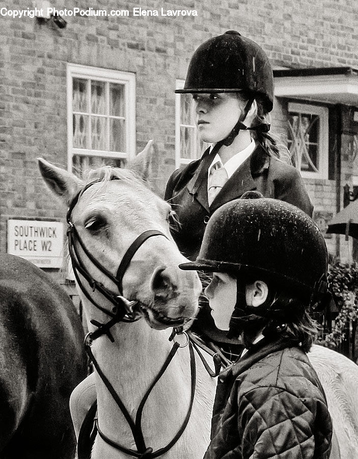 People, Person, Human, Animal, Horse, Mammal