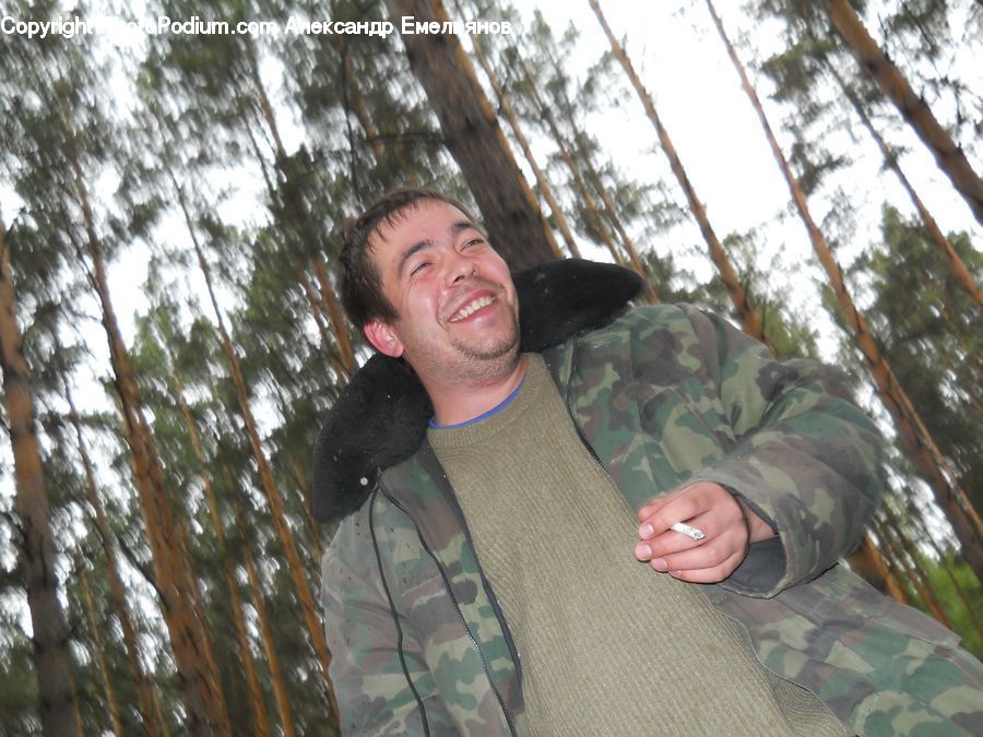 People, Person, Human, Forest, Vegetation, Leisure Activities, Outdoors