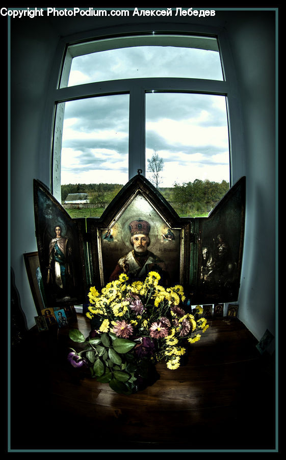 Window, Plant, Potted Plant, Floral Design, Flower, Flower Arrangement, Flower Bouquet