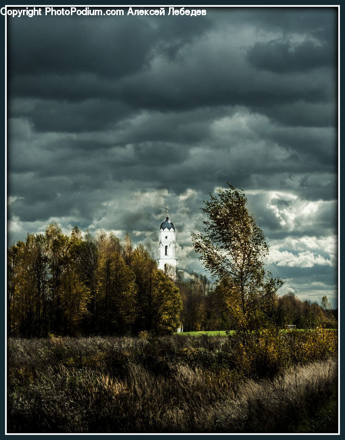 Azure Sky, Cloud, Outdoors, Sky, Cumulus, Field, Grass