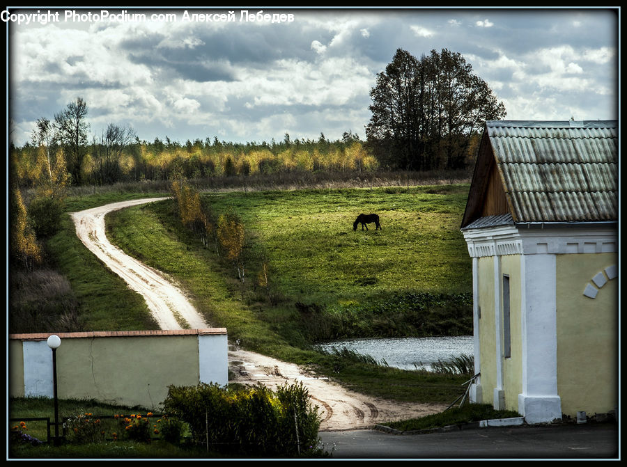 Outhouse, Shack, Building, Cottage, Housing, Dirt Road, Gravel