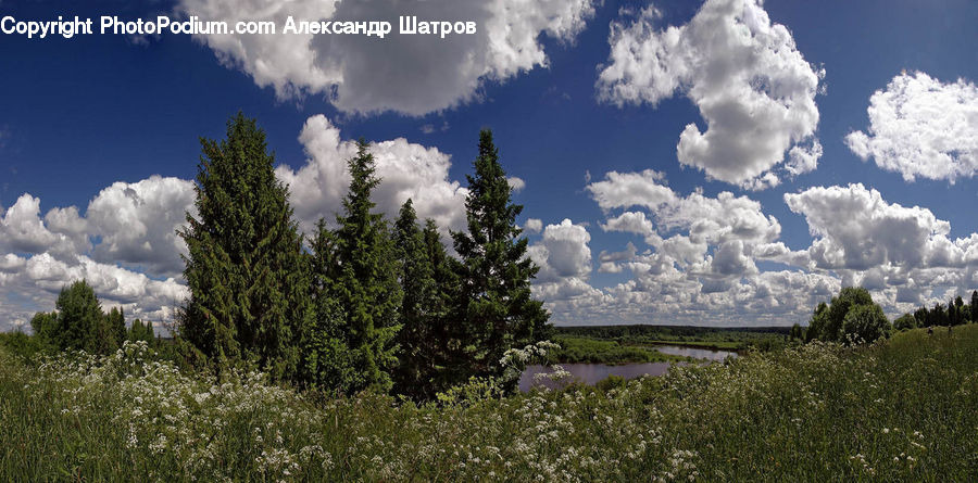 Cloud, Cumulus, Sky, Field, Grass, Grassland, Land