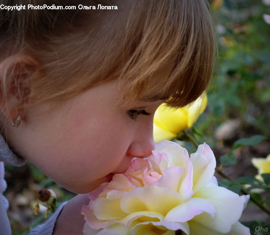 People, Person, Human, Blossom, Flora, Flower, Plant