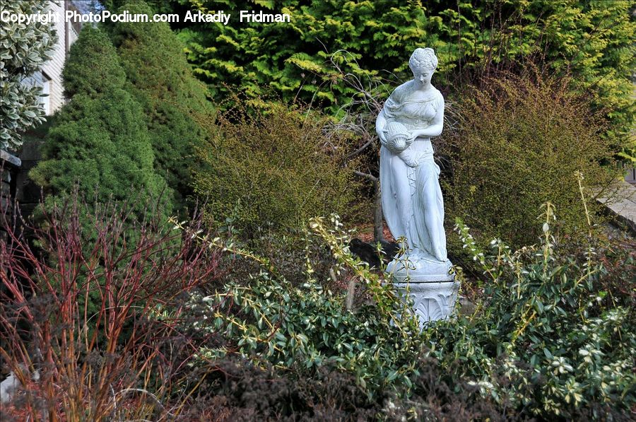 People, Person, Human, Art, Sculpture, Statue, Blossom