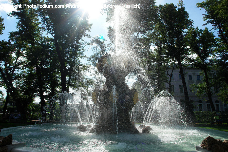 Fountain, Water, Outdoors, River, Waterfall, Conifer, Fir
