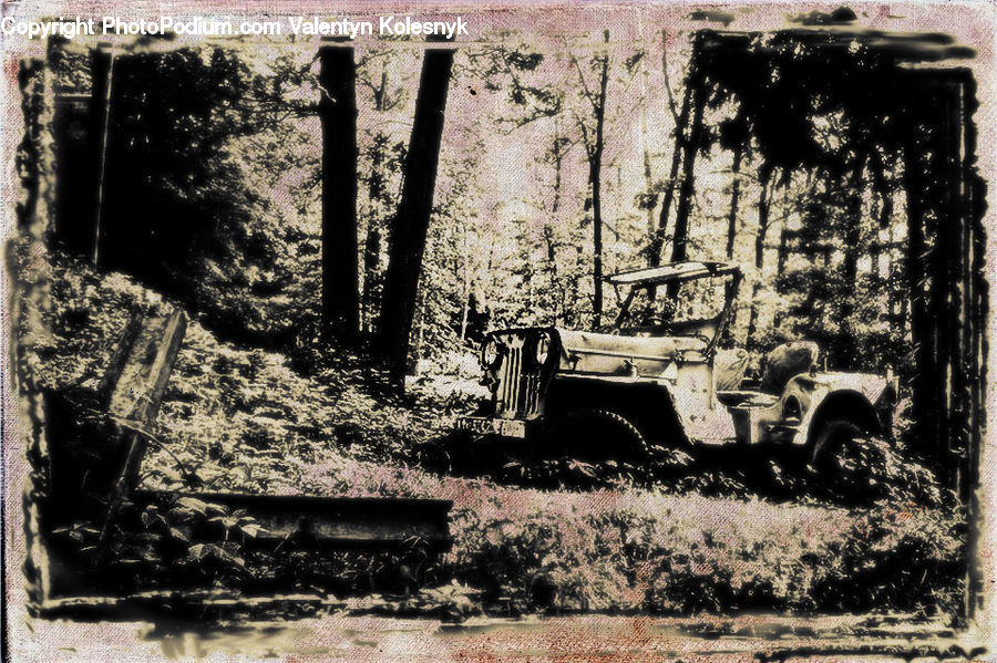 Bulldozer, Tractor, Vehicle, Ruins, Half Track, Dirt Road, Gravel