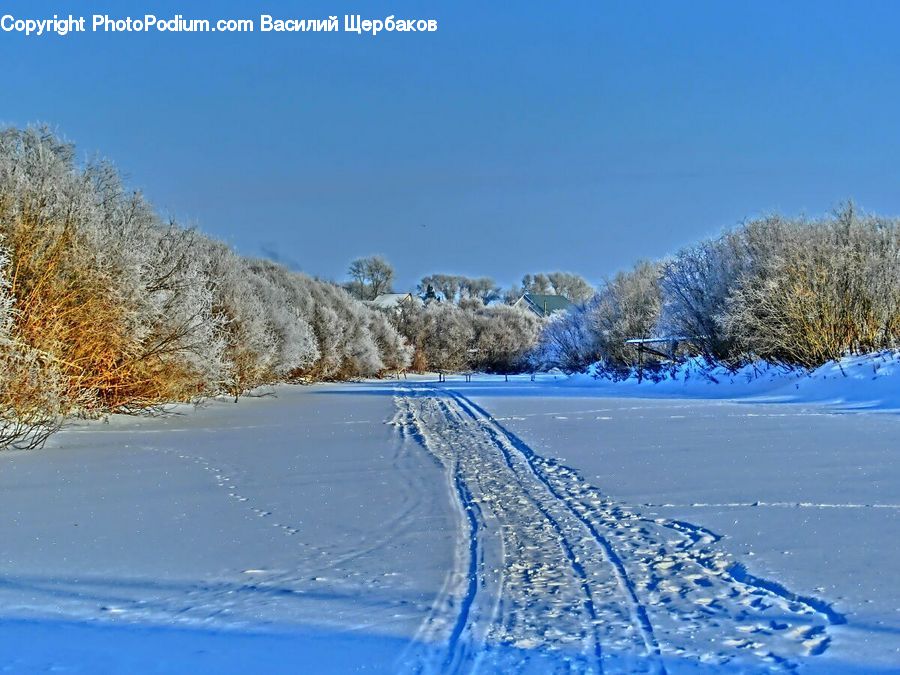 Frost, Ice, Outdoors, Snow, Landscape, Nature, Scenery