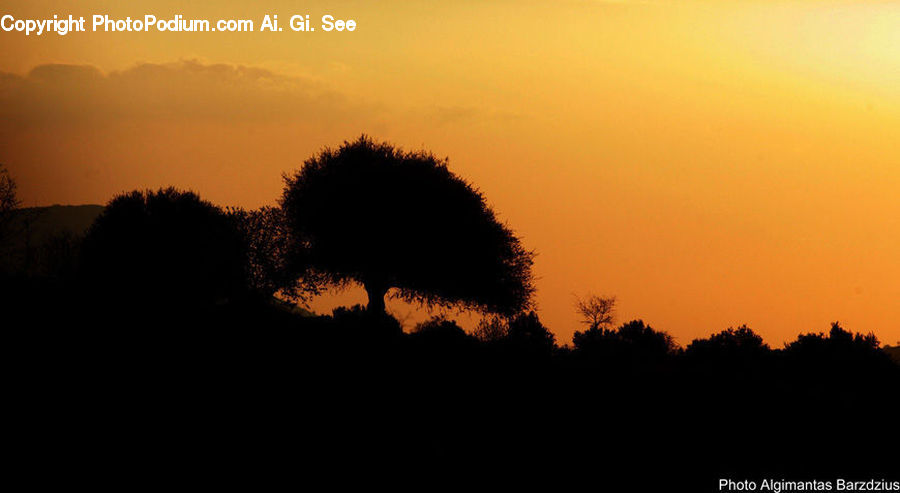 Dawn, Dusk, Red Sky, Sky, Sunrise, Sunset, Silhouette