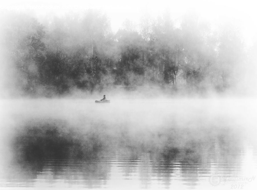 Fog