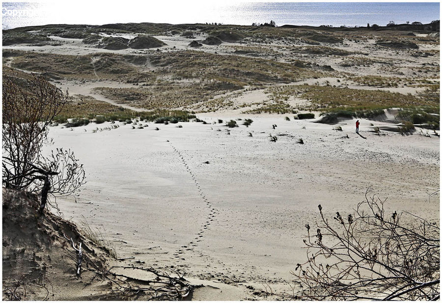 Outdoors, Sand, Soil, Dune, Coast, Sea, Water